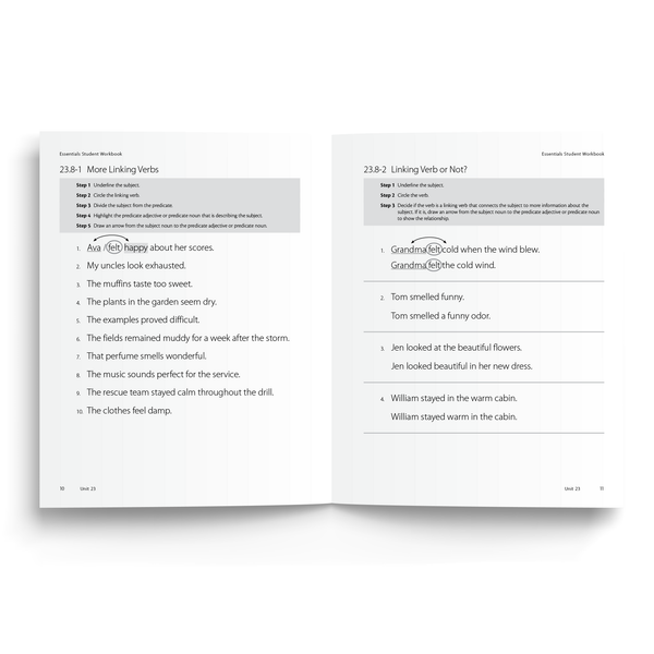Sample of Student Workbook for Essentials Units 23-30 - Linking Verb Practice