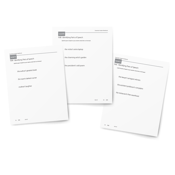 Sample of Student Workbook for Essentials Units 8-15 - Level A, Level B, and Level C Parts of Speech