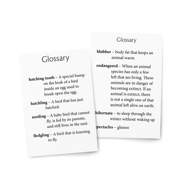 Sample of Glossary in Foundations D Readers