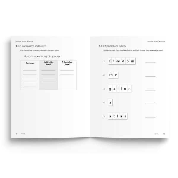 Sample of Student Workbook for Essentials Units 1-7 
