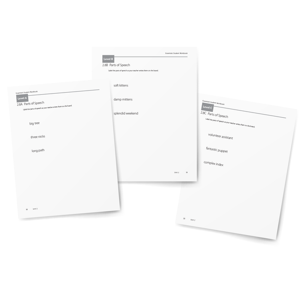 Sample of Student Workbook for Essentials Units 1-7 - Parts of Speech