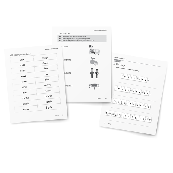 Sample of Student Workbook for Essentials 16-22 - Games and Activities