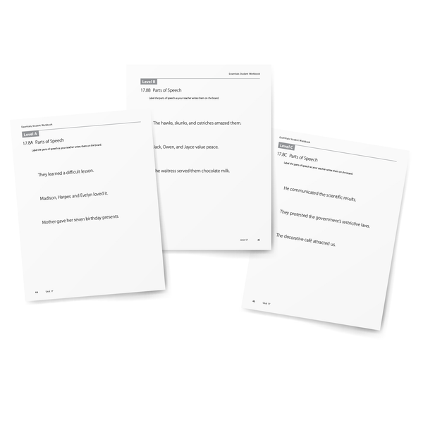 Sample of Student Workbook for Essentials Units 16-22 - Level A, Level B, and Level C Parts of Speech