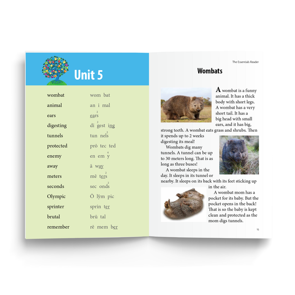 Essentials Reader Unit 5 Interior Sample  - "Wombats" read in conjunction with Unit 6 of the main Essentials curriculum.