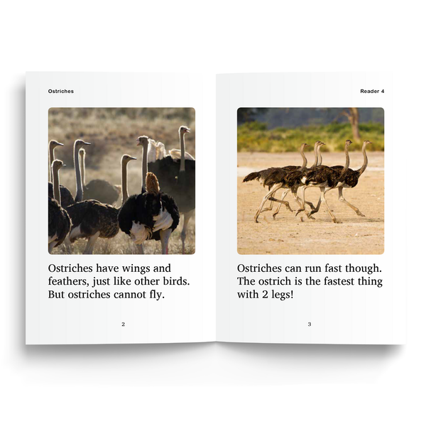 Sample of Reader 4: Ostriches used with Foundations C