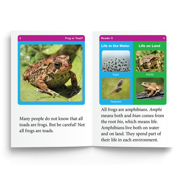 Sample of Reader 6: Frog or Toad? used in Foundations D