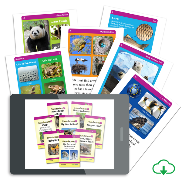 Foundations D Reader Set: 8 decodable readers scheduled throughout Foundations D - PDF Download