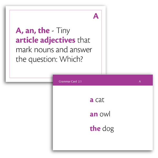 Sample of Grammar Flash Cards - Rule 2.1: Article Adjectives